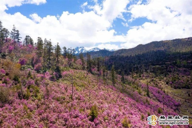 a185816e-b540-408b-a0a5-9941f098c107_batchwm a185816e-b540-408b-a0a5-9941f098c107_batchwm