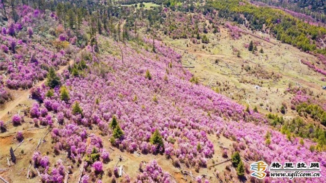 c1948dcd-78a8-403d-aa1d-e775d538d80e_batchwm c1948dcd-78a8-403d-aa1d-e775d538d80e_batchwm