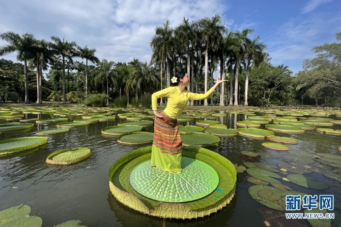 1310602473_16533526006181n 1310602473_16533526006181n