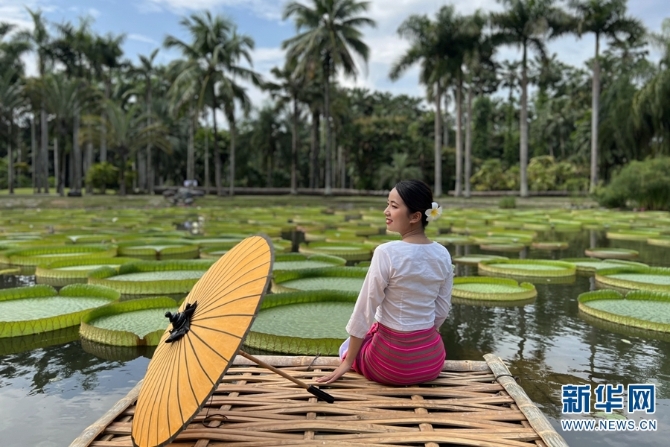 1310602473_16533526006751n 1310602473_16533526006751n