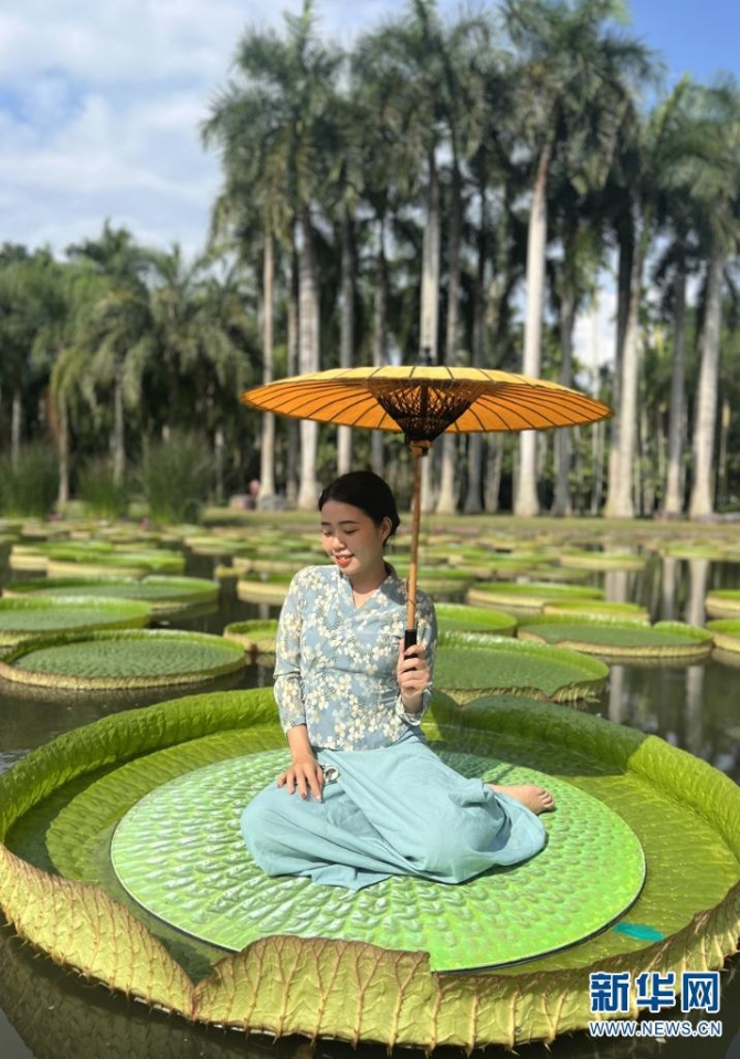 1310602473_16533526007341n 1310602473_16533526007341n