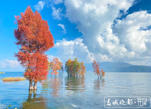 大理古城旅游度假区