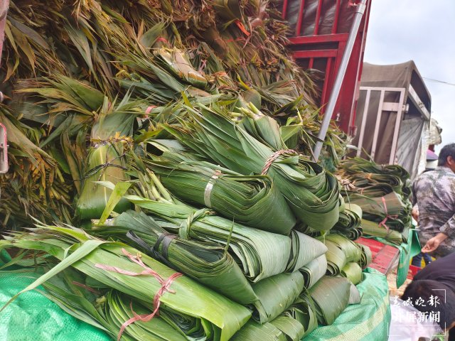 端午节将至,昆明市场上粽叶开始热卖 夏体雷 摄