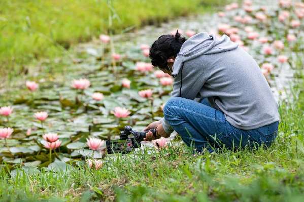 沪郊生态园恢复开放,首批游客雨中赏花