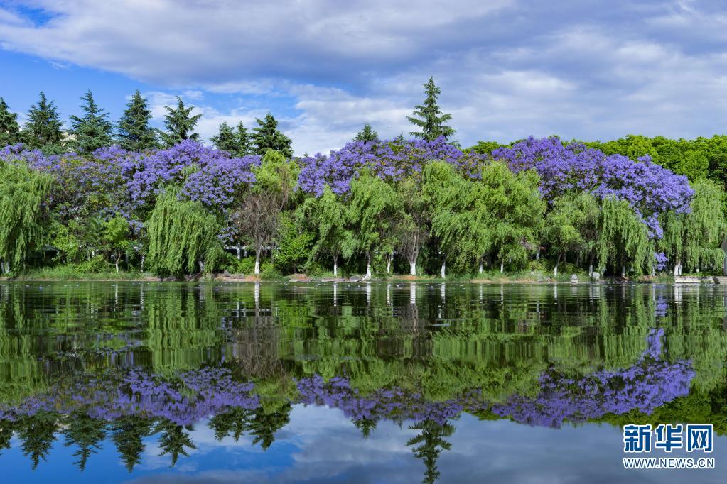 新华网:宝海公园景如画