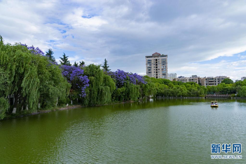 新华网:宝海公园景如画