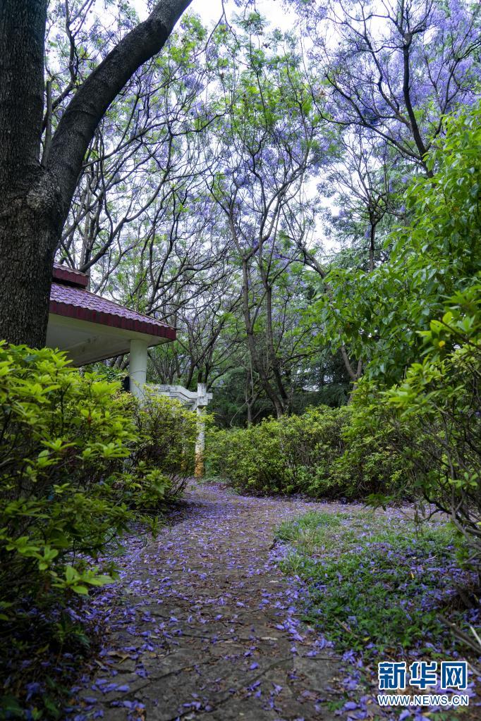 新华网:宝海公园景如画