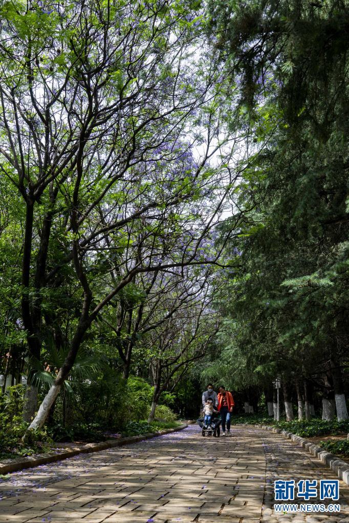 新华网:宝海公园景如画