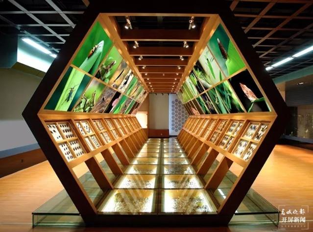 14日，昆明动物博物馆免费开放