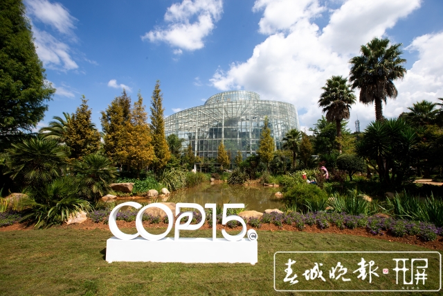 扶荔宫和宝丰湿地即将对公众开放（高伟 摄）