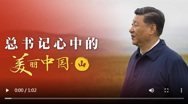 微信截图_20220603161741