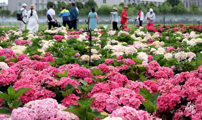 code_ynrb5b7798fc-bffb-49c2-99fa-558b49b22522