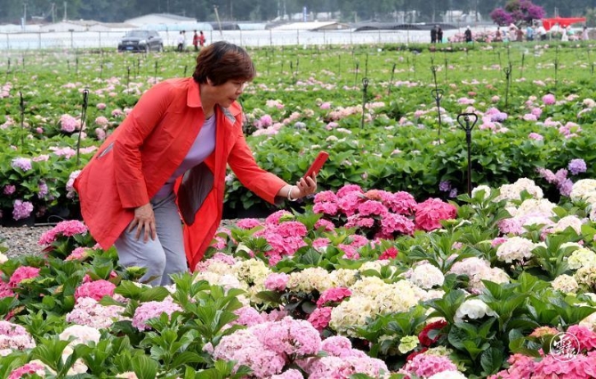 code_ynrb09ebae19-c1cf-4932-98b2-b7adb023a0ae