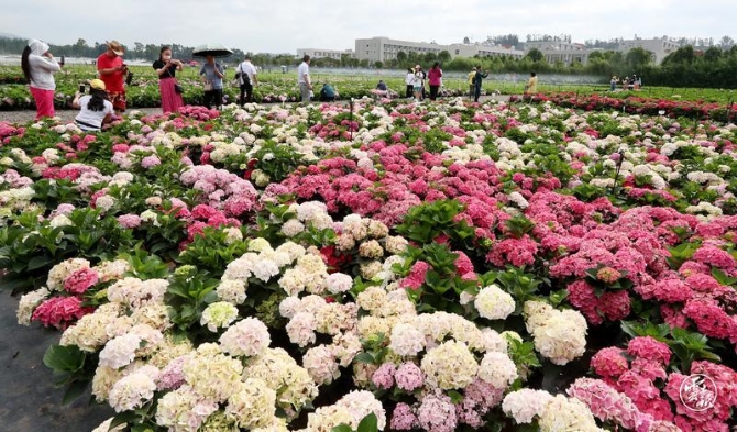 code_ynrb9430a31b-5d65-4761-a082-9efc17964c38