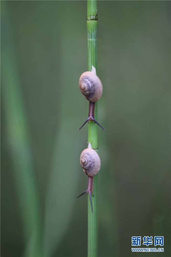 1310615330_16545076552191n