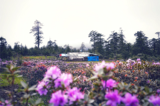 02cffd70-dfca-4dc7-8038-df78cfd2af92