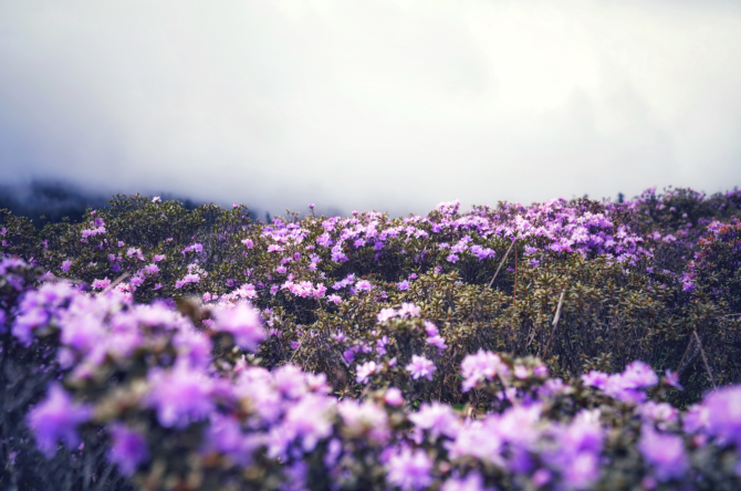 25c93926-5278-4745-b718-6ea326ad1ed0