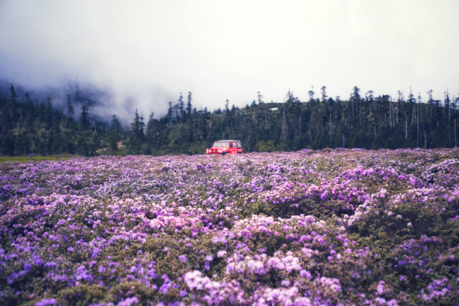 78d1ca21-c93b-4315-969d-28ddfaa3193b