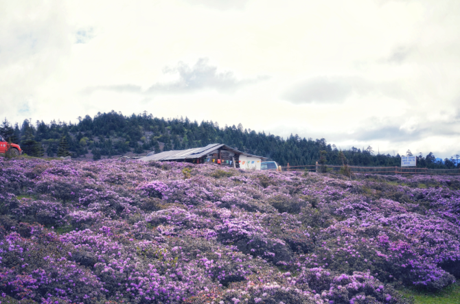 aa302922-4f46-47ea-8a78-8f76711076c2