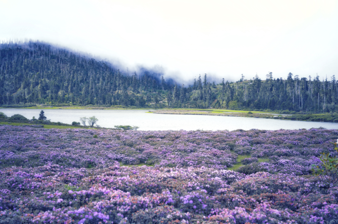 aa787955-698f-4291-aba4-7d9794a5ea27