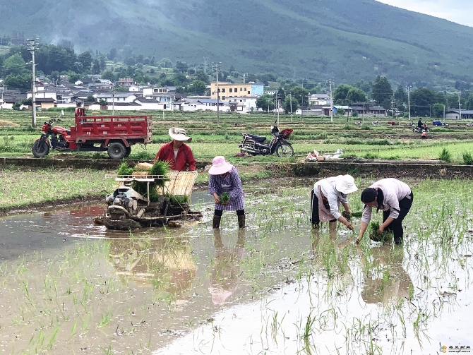 cebeaf0b-8692-48e4-9319-c448eb2dd5bd_batchwm