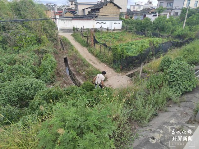保山一女子与男友吵架后在高速路“躺平（开屏新闻记者 崔敏 通讯员 李海东 郑宇旸 李红幸 摄）