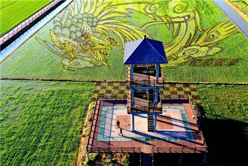 1655256116256137.jpg 微信图片_20220615091549.jpg