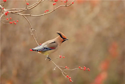 1655256139267810.jpg 微信图片_20220615091554.jpg