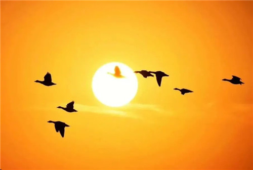 1655256291304772.jpg 微信图片_20220615091634.jpg