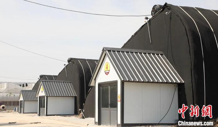 果园村发展现代农业特色产业,为发展壮大村集体经济、村民增收开辟了一条绿色发展的新路。 向上 摄