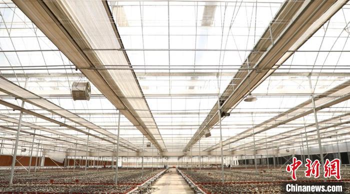 果园村发展现代农业特色产业,为发展壮大村集体经济、村民增收开辟了一条绿色发展的新路。 向上 摄