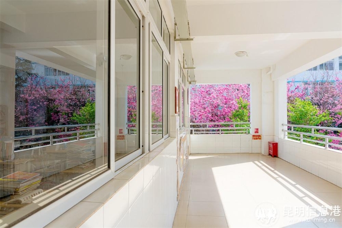 昆九中教学楼走廊 昆九中教学楼走廊