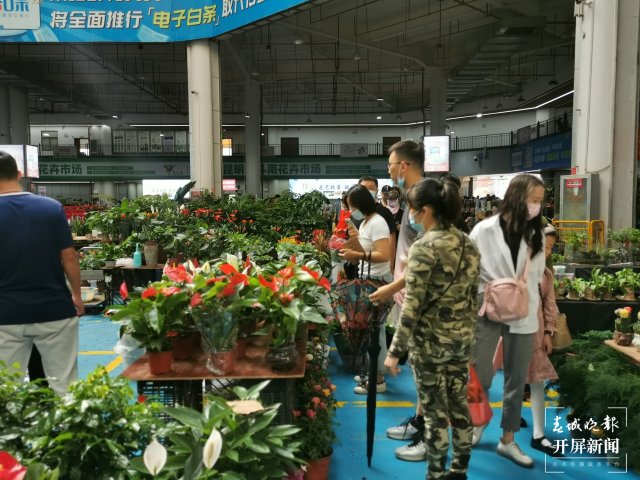 开屏观察｜昆明家庭园艺日渐风靡，养花不再是老人“专利”（开屏新闻记者 李赛 摄）