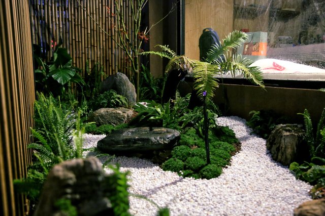 开屏观察｜有人花10多万元装饰花园，昆明家庭园艺日渐风靡（胡子艺术供图）