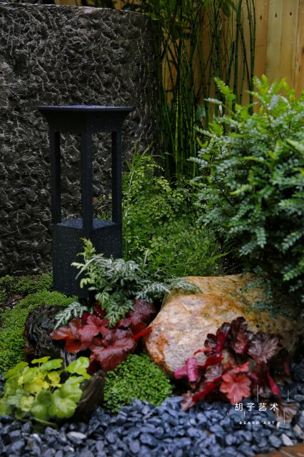 开屏观察｜有人花10多万元装饰花园，昆明家庭园艺日渐风靡（胡子艺术供图）