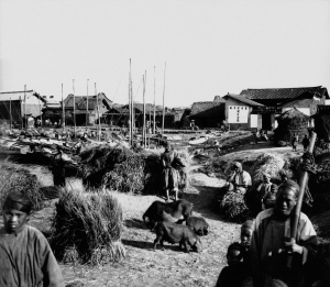 老昆明篆塘柴草市场。 老昆明篆塘柴草市场。
