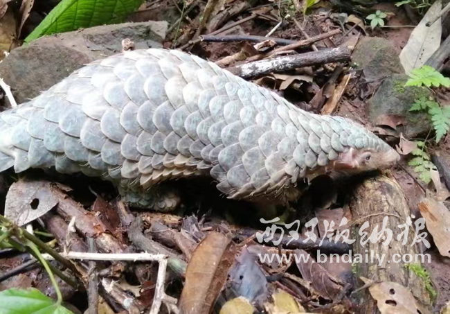 0617-03JJZK-002-332918-原文件