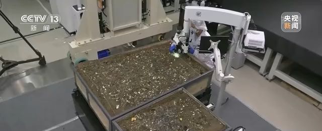 三星堆再发现 雷雨:我相信古蜀文明应该是有文字的