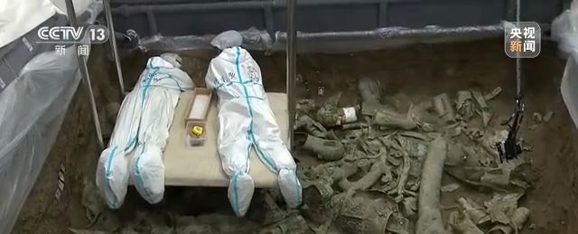 三星堆再发现 雷雨:我相信古蜀文明应该是有文字的