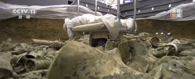 三星堆再发现 雷雨:我相信古蜀文明应该是有文字的