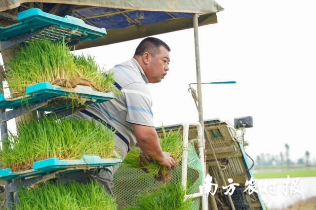 都斛镇“种粮大王”李胜业 都斛镇“种粮大王”李胜业