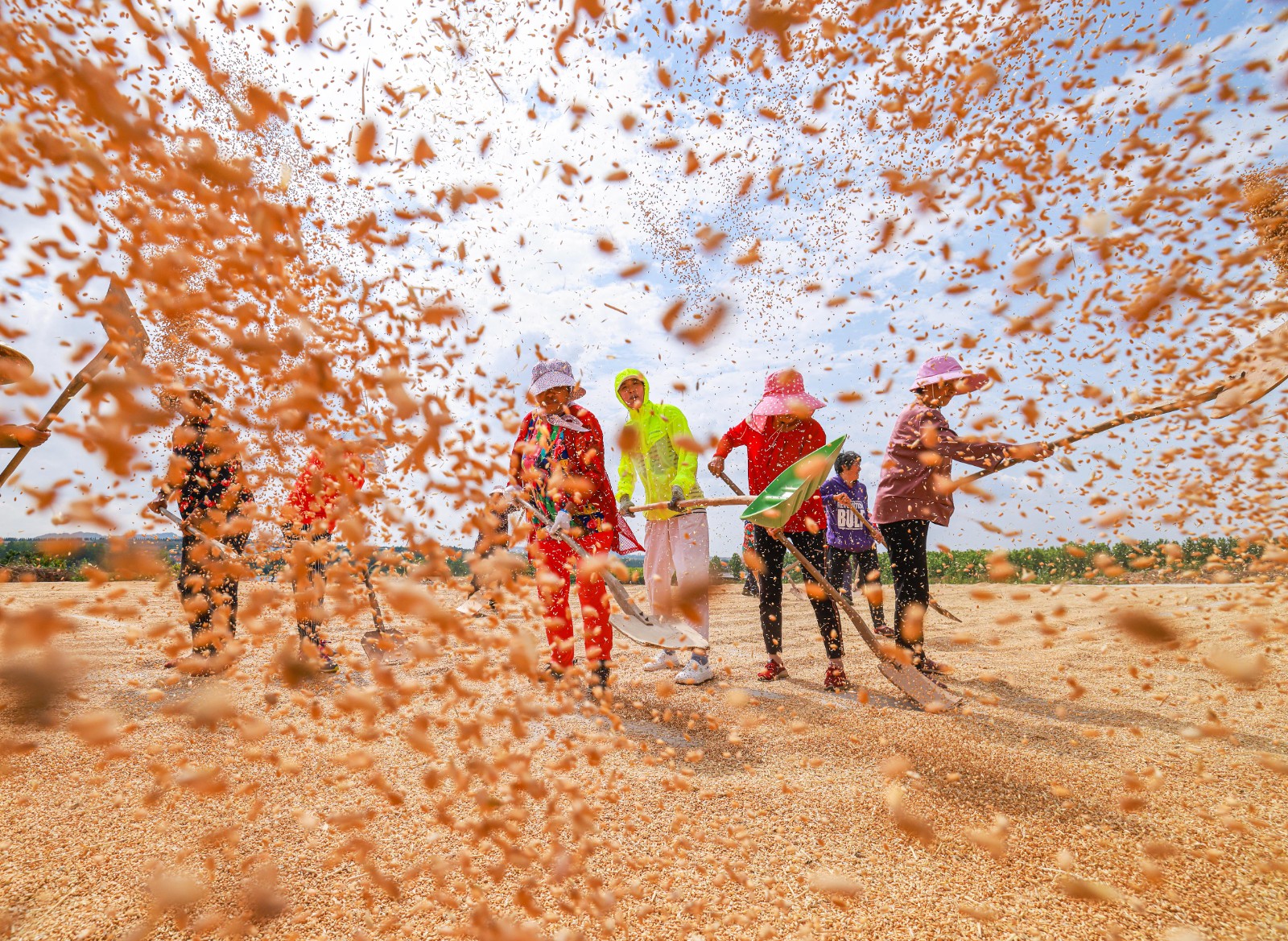 ShowImage (61).jpeg ShowImage (61).jpeg