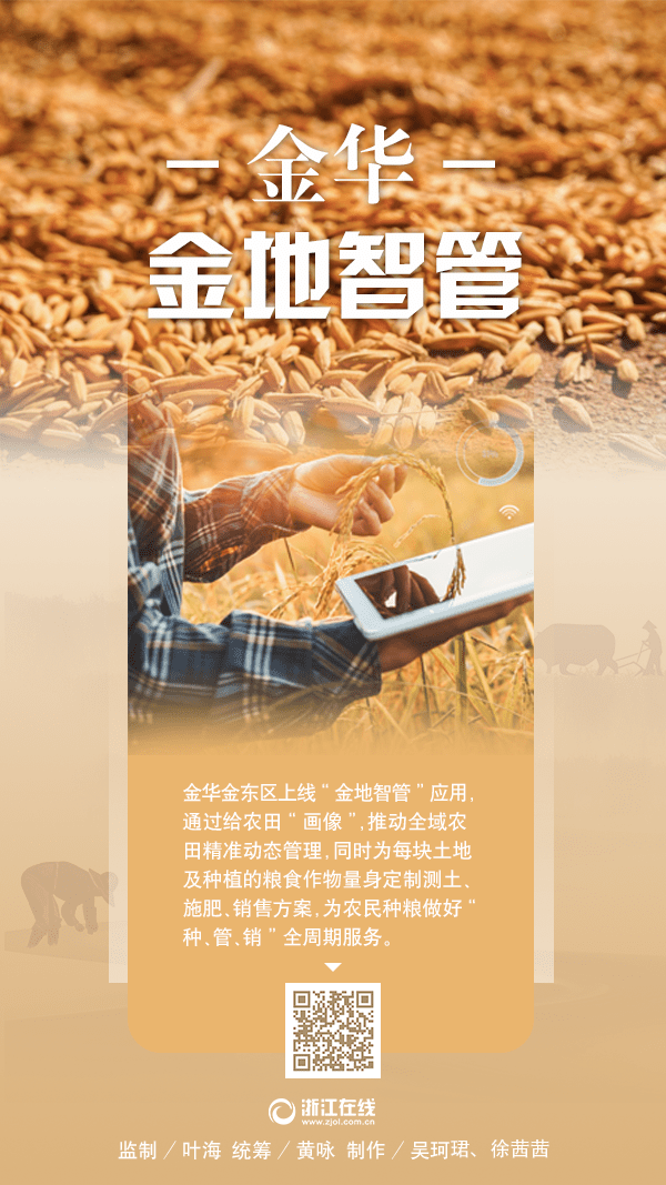 金华.png 金华.png