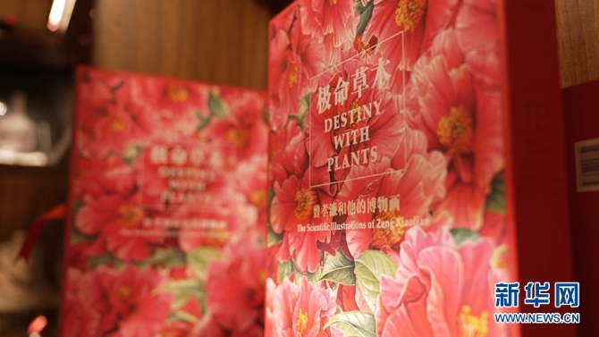 1310629247_16558583576171n