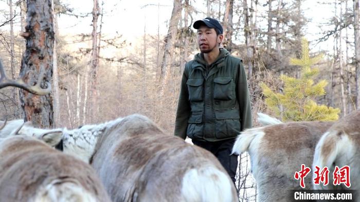 图为古木森和驯鹿在一起。 古木森供图 图为古木森和驯鹿在一起。 古木森供图
