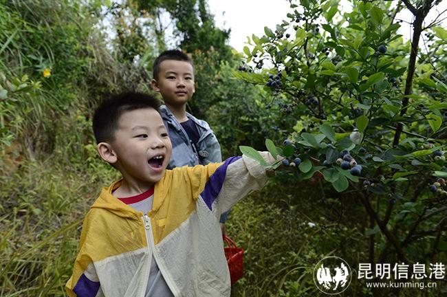 微信图片_20220630200129