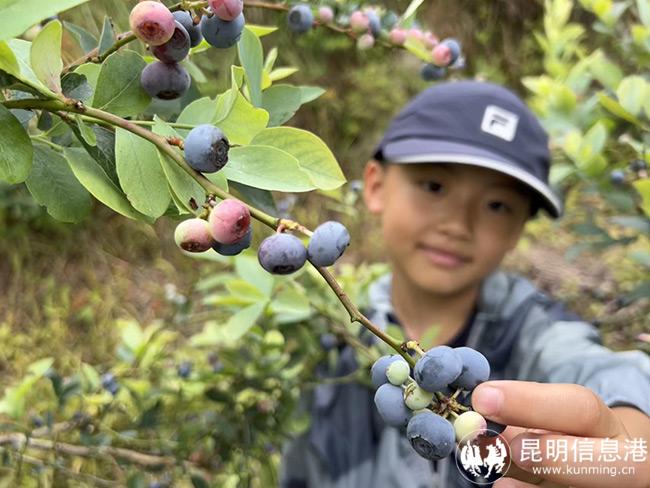 微信图片_20220630200135