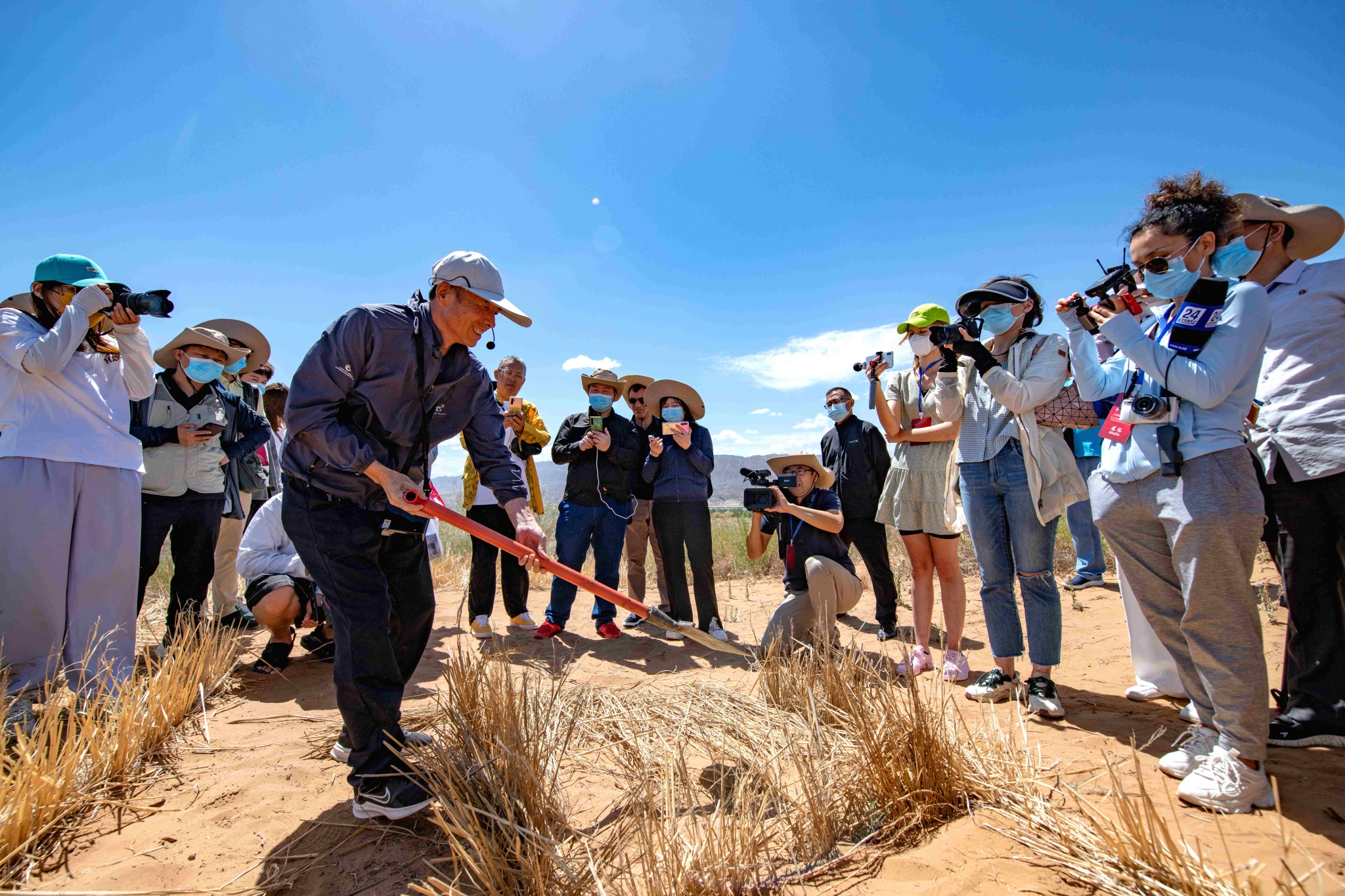 DSC_7906.jpg DSC_7906.jpg