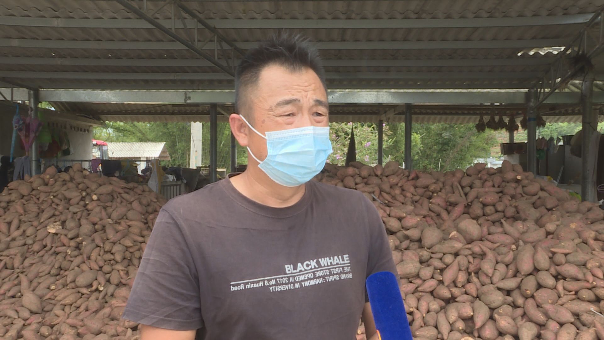 Still0702_00084.jpg Still0702_00084.jpg