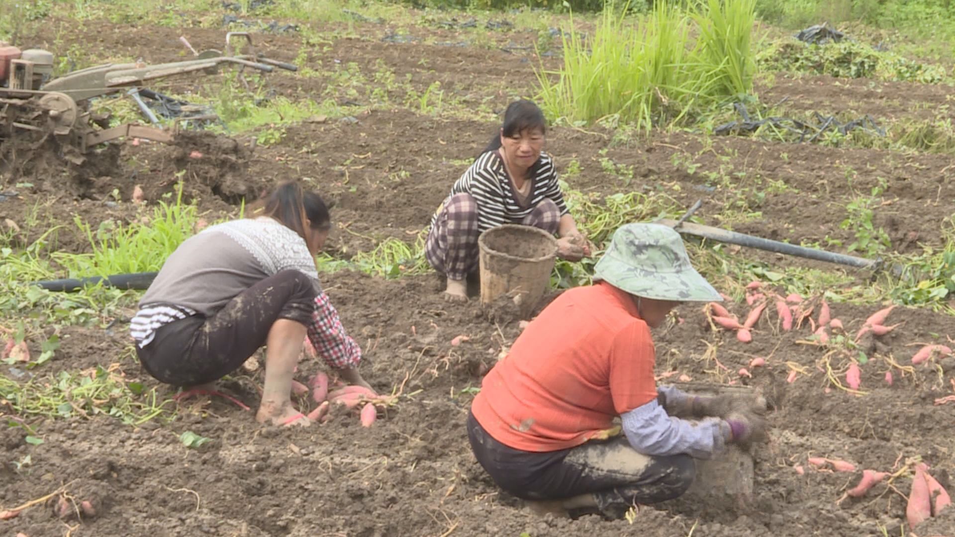 Still0702_00081.jpg Still0702_00081.jpg